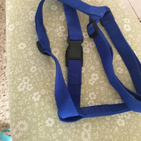 Blue Dog Harness for Large Dogs - Picture 6 of 9